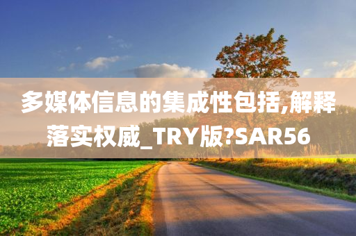 多媒体信息的集成性包括,解释落实权威_TRY版?SAR56