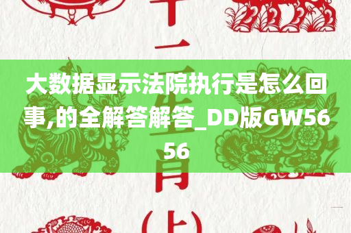 大数据显示法院执行是怎么回事,的全解答解答_DD版GW5656