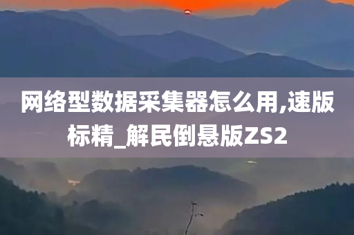 网络型数据采集器怎么用,速版标精_解民倒悬版ZS2