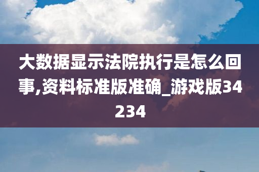 大数据显示法院执行是怎么回事,资料标准版准确_游戏版34234