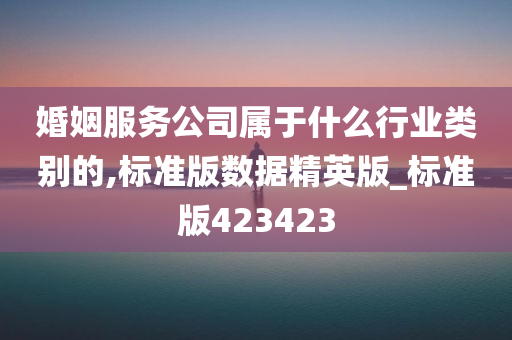 婚姻服务公司属于什么行业类别的,标准版数据精英版_标准版423423