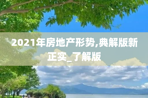 2021年房地产形势,典解版新正实_了解版