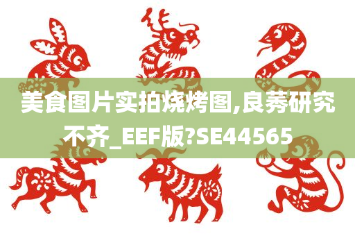 美食图片实拍烧烤图,良莠研究不齐_EEF版?SE44565