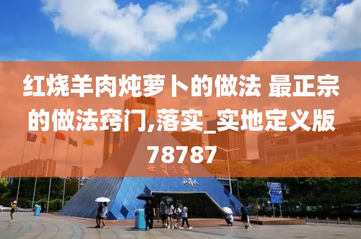 红烧羊肉炖萝卜的做法 最正宗的做法窍门,落实_实地定义版78787