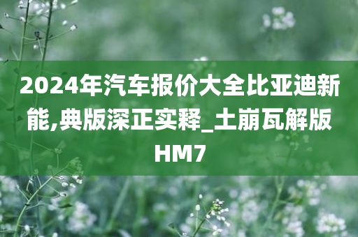 2024年汽车报价大全比亚迪新能,典版深正实释_土崩瓦解版HM7