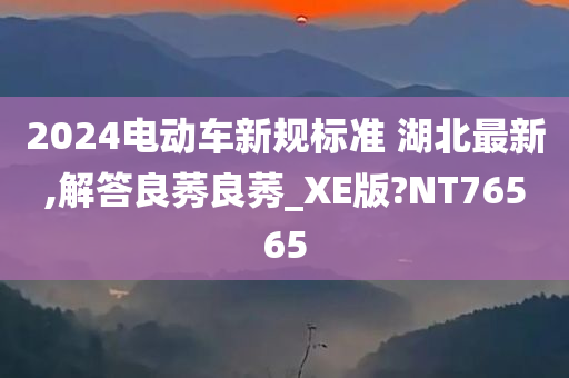 2024电动车新规标准 湖北最新,解答良莠良莠_XE版?NT76565