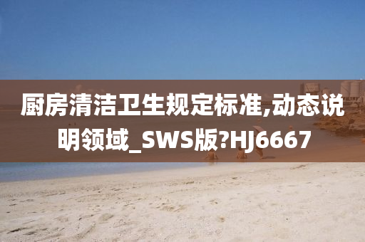 厨房清洁卫生规定标准,动态说明领域_SWS版?HJ6667