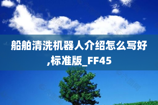 船舶清洗机器人介绍怎么写好,标准版_FF45