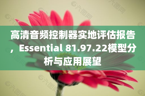 高清音频控制器实地评估报告，Essential 81.97.22模型分析与应用展望