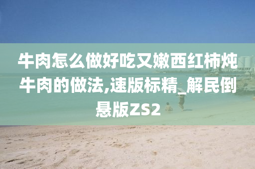 牛肉怎么做好吃又嫩西红柿炖牛肉的做法,速版标精_解民倒悬版ZS2