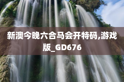 新澳今晚六合马会开特码,游戏版_GD676