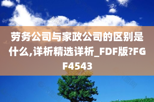 劳务公司与家政公司的区别是什么,详析精选详析_FDF版?FGF4543