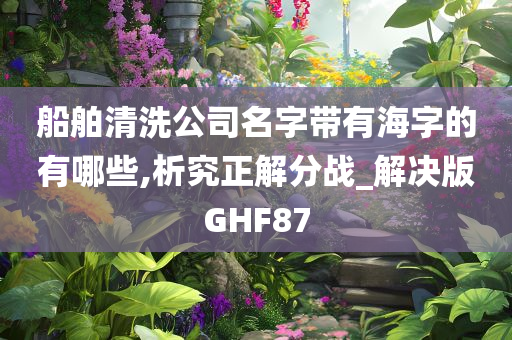 船舶清洗公司名字带有海字的有哪些,析究正解分战_解决版GHF87