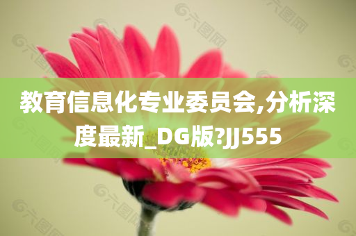 教育信息化专业委员会,分析深度最新_DG版?JJ555