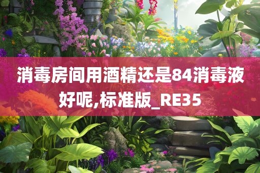 消毒房间用酒精还是84消毒液好呢,标准版_RE35