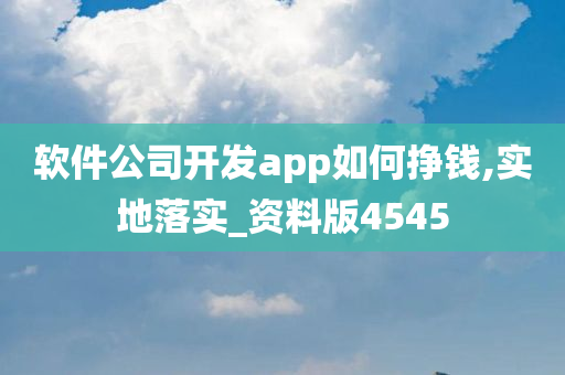 软件公司开发app如何挣钱,实地落实_资料版4545