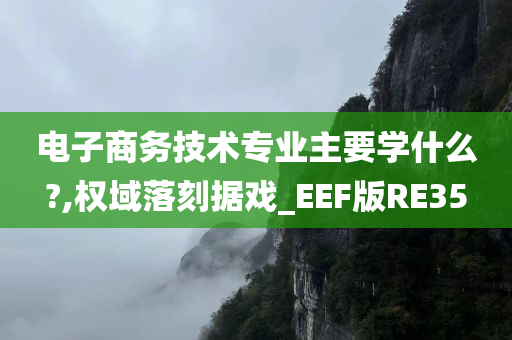 电子商务技术专业主要学什么?,权域落刻据戏_EEF版RE35