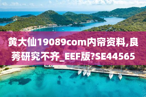 黄大仙19089com内帘资料,良莠研究不齐_EEF版?SE44565