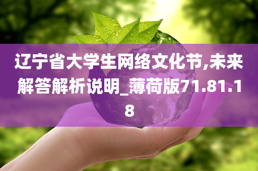 辽宁省大学生网络文化节,未来解答解析说明_薄荷版71.81.18