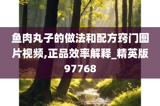 鱼肉丸子的做法和配方窍门图片视频,正品效率解释_精英版97768