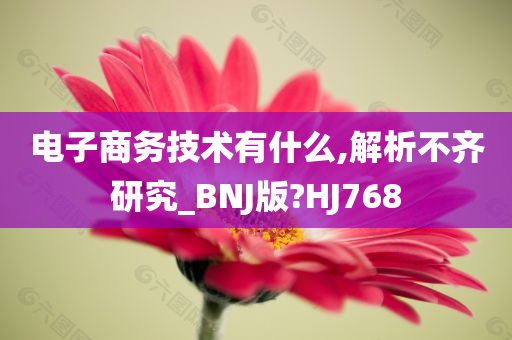 电子商务技术有什么,解析不齐研究_BNJ版?HJ768