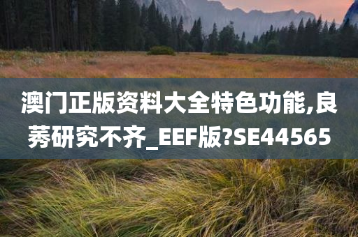 澳门正版资料大全特色功能,良莠研究不齐_EEF版?SE44565