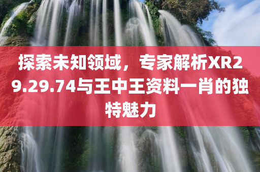 探索未知领域，专家解析XR29.29.74与王中王资料一肖的独特魅力