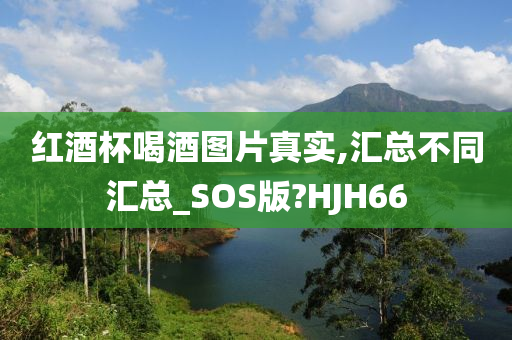 红酒杯喝酒图片真实,汇总不同汇总_SOS版?HJH66