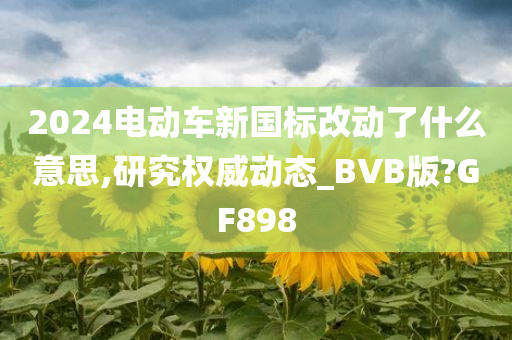 2024电动车新国标改动了什么意思,研究权威动态_BVB版?GF898