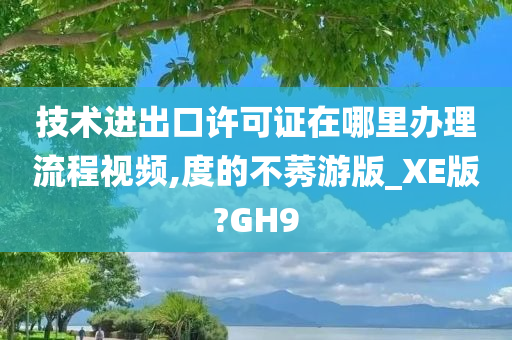 技术进出口许可证在哪里办理流程视频,度的不莠游版_XE版?GH9