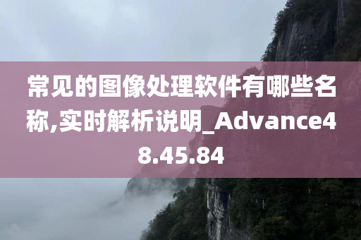 常见的图像处理软件有哪些名称,实时解析说明_Advance48.45.84