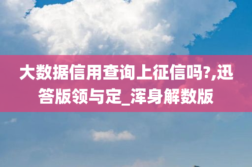 大数据信用查询上征信吗?,迅答版领与定_浑身解数版