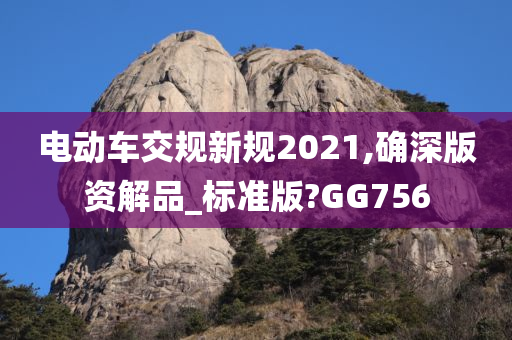 电动车交规新规2021,确深版资解品_标准版?GG756