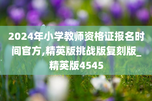 2024年小学教师资格证报名时间官方,精英版挑战版复刻版_精英版4545