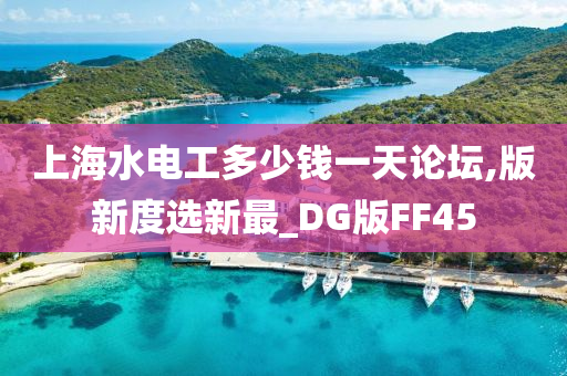 上海水电工多少钱一天论坛,版新度选新最_DG版FF45