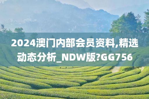 2024澳门内部会员资料,精选动态分析_NDW版?GG756