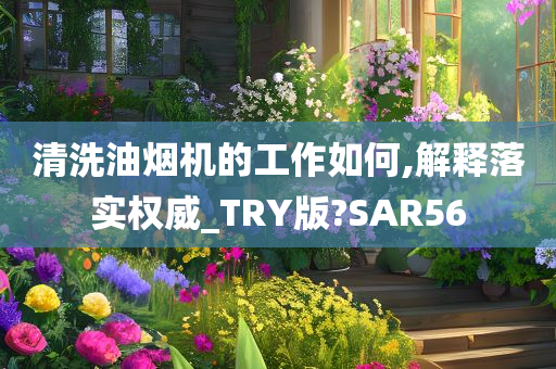 清洗油烟机的工作如何,解释落实权威_TRY版?SAR56