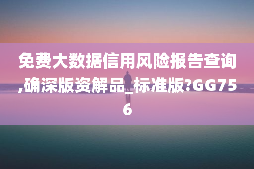 免费大数据信用风险报告查询,确深版资解品_标准版?GG756