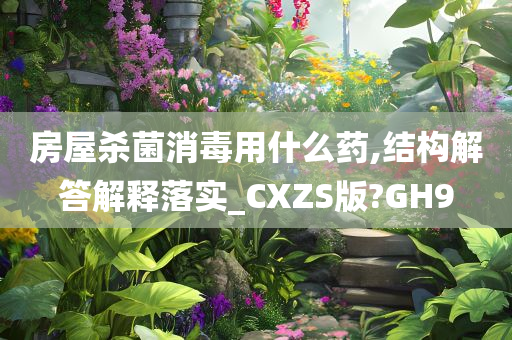 房屋杀菌消毒用什么药,结构解答解释落实_CXZS版?GH9