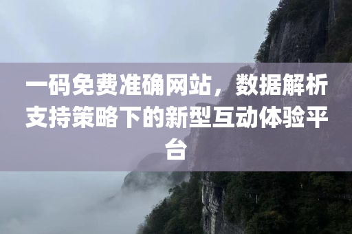 一码免费准确网站，数据解析支持策略下的新型互动体验平台