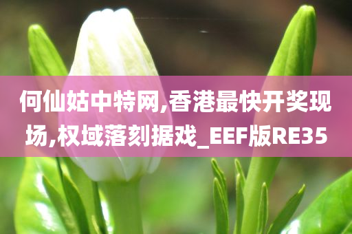 何仙姑中特网,香港最快开奖现场,权域落刻据戏_EEF版RE35