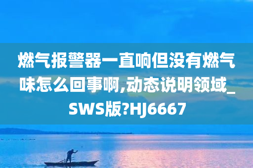 燃气报警器一直响但没有燃气味怎么回事啊,动态说明领域_SWS版?HJ6667