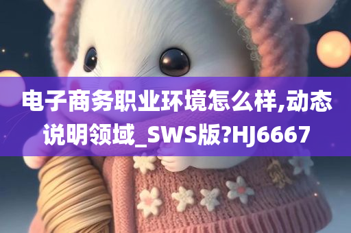 电子商务职业环境怎么样,动态说明领域_SWS版?HJ6667