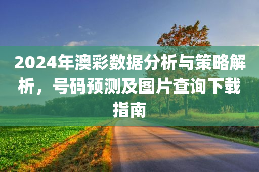 2024年澳彩数据分析与策略解析，号码预测及图片查询下载指南