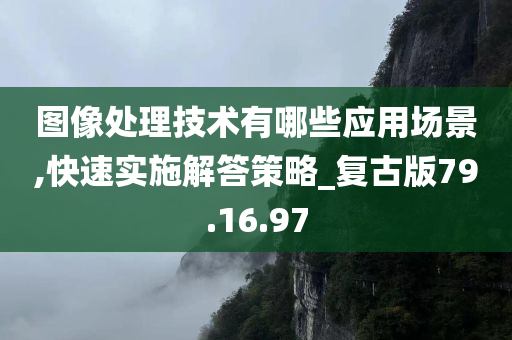 图像处理技术有哪些应用场景,快速实施解答策略_复古版79.16.97