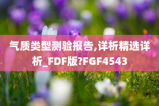 气质类型测验报告,详析精选详析_FDF版?FGF4543