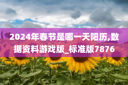 2024年春节是哪一天阳历,数据资料游戏版_标准版7876