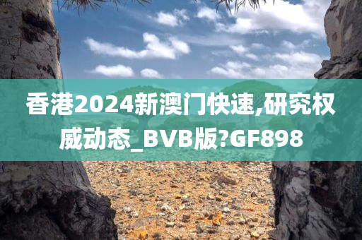 香港2024新澳门快速,研究权威动态_BVB版?GF898