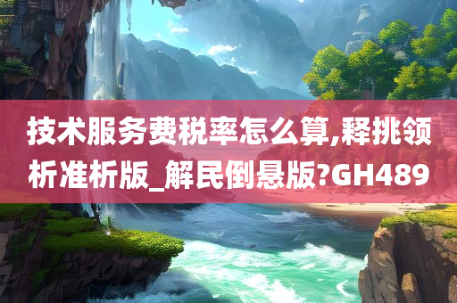 技术服务费税率怎么算,释挑领析准析版_解民倒悬版?GH489