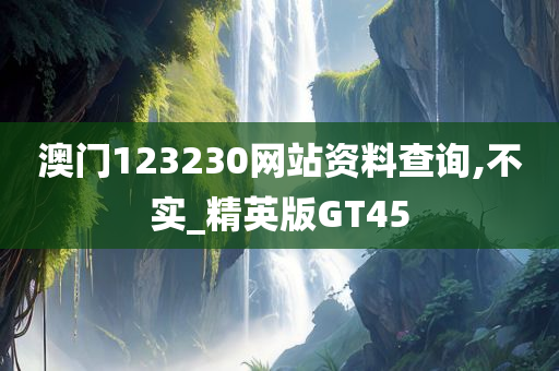 澳门123230网站资料查询,不实_精英版GT45